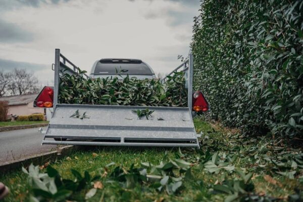 YYY.jpg Lider Robust 2,51 M X 1,34 M / 750 kg 2 Achsen